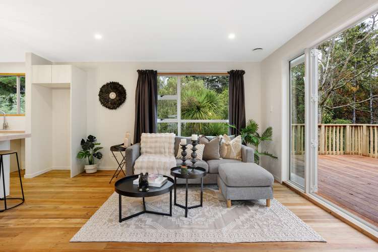 116A Arthur Street Dunedin Central_5