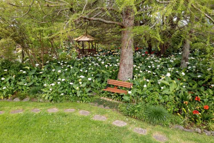 28 Parkhurst Road Helensville_18