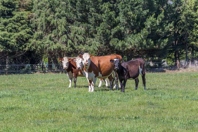 701 Selwyn Road Rolleston_35