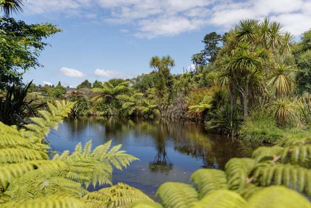 36 Waikaraka Drive West Whakamarama_1