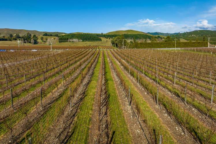 2384 State Highway 63 Wairau Valley_24