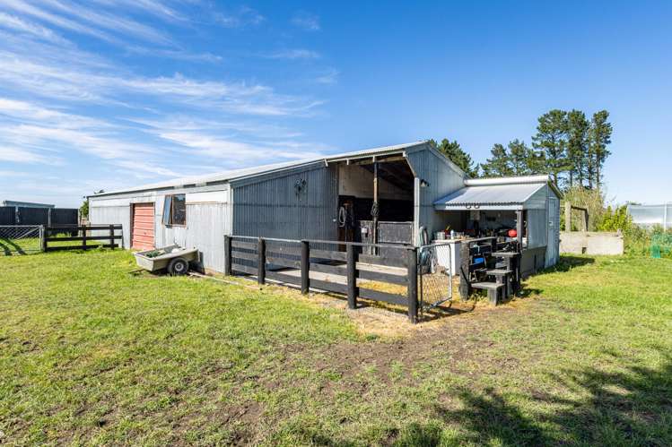 253 Russells Road Ashburton_22