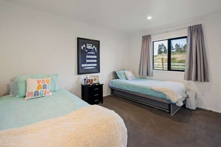 299A Waikeria Road Kihikihi_21
