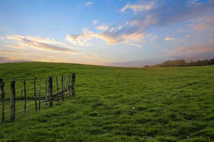 153 Waikoukou Valley Road Waimauku_10