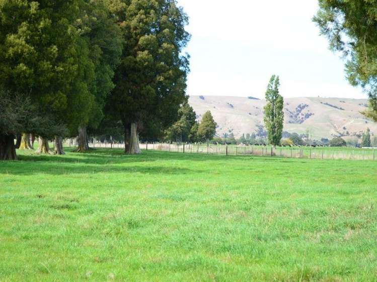 233a Papawai Road Greytown_30