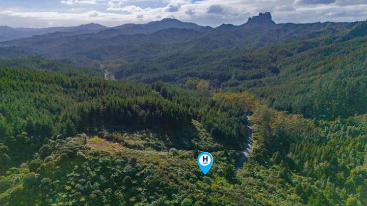 694 The 309 Road, Waiau Coromandel_18