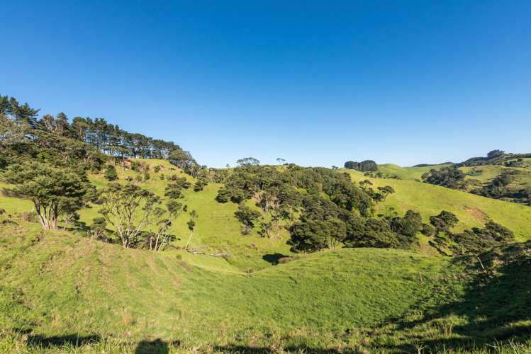 36 Goudie Road Helensville_12