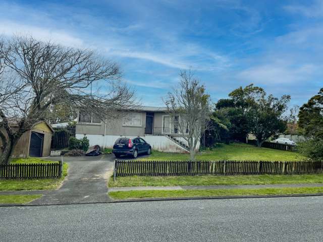 41 Roseanne Road Manurewa_1