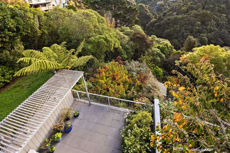 2c Leslie Street Wadestown_9