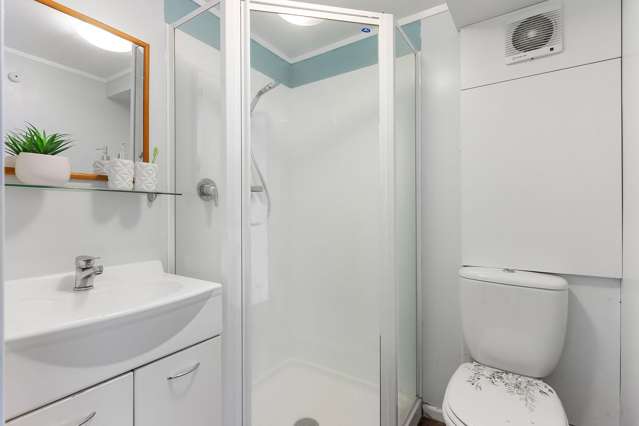 20A Pearce Street Vogeltown_3