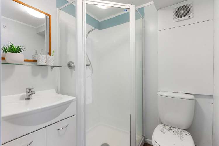 20A Pearce Street Vogeltown_3