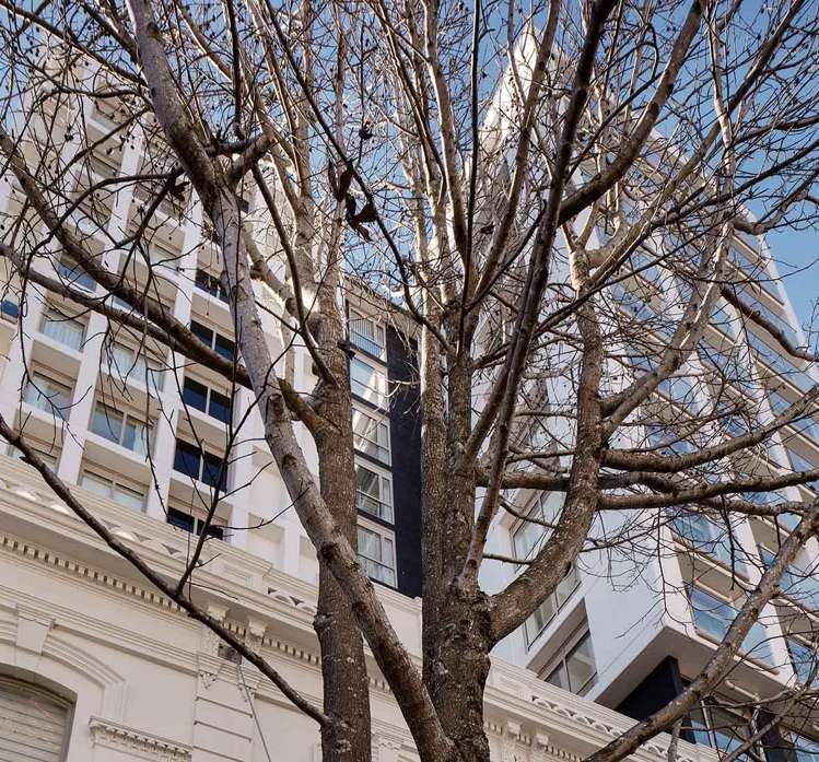 506/168 Hobson Street Auckland Central_8