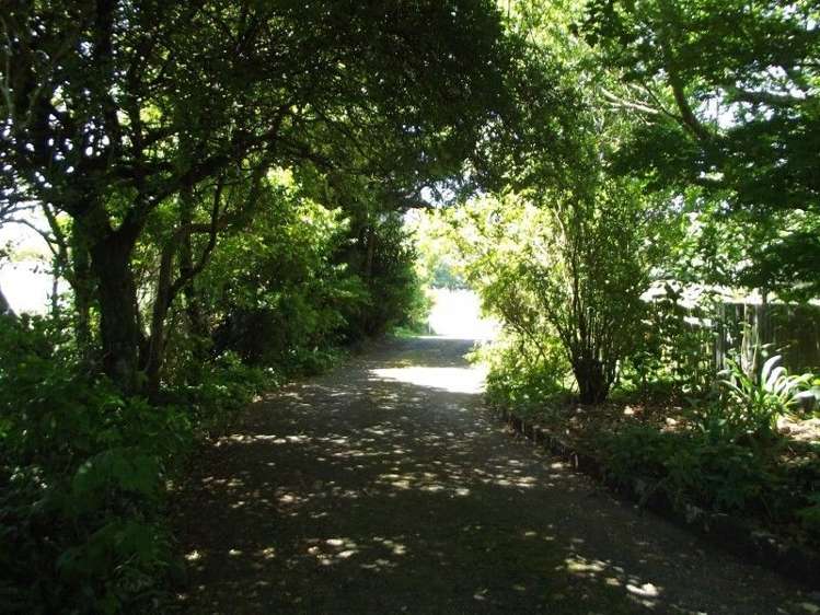 3082 Mountain Road Midhirst_24