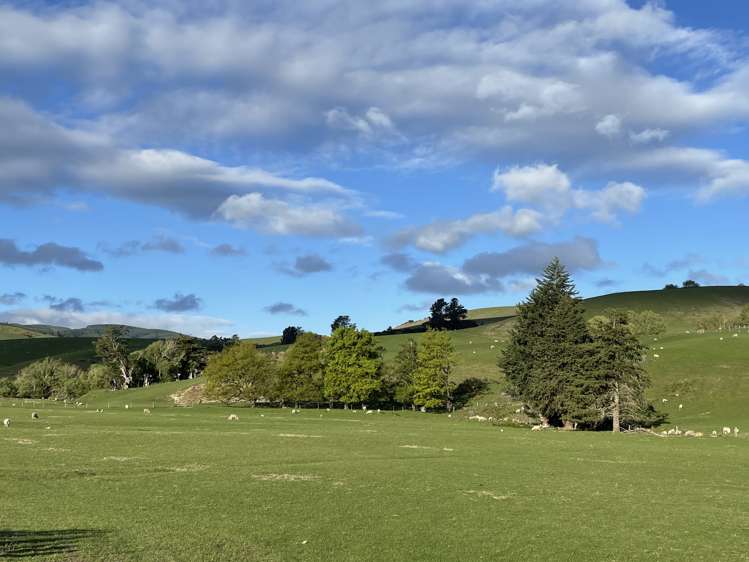 8 Munro Road Lawrence_8