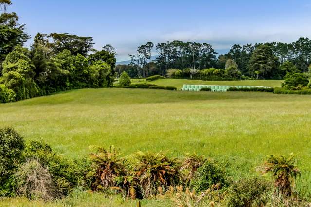 IMMACULATE GRAZING FARM