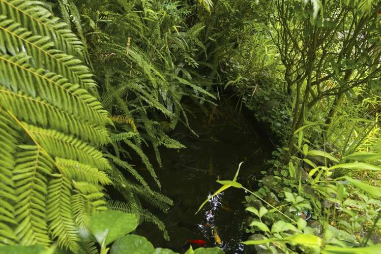 111 Winchester Street Levin_18