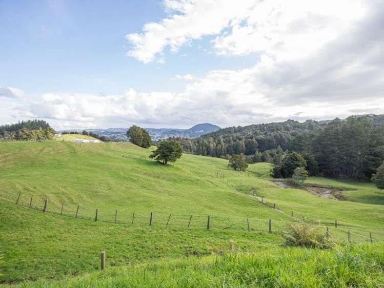 363 Vinegar Hill Road Kauri_15