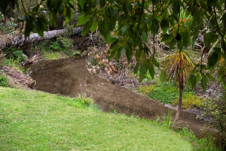 49 Esmeralda Avenue Avondale_12