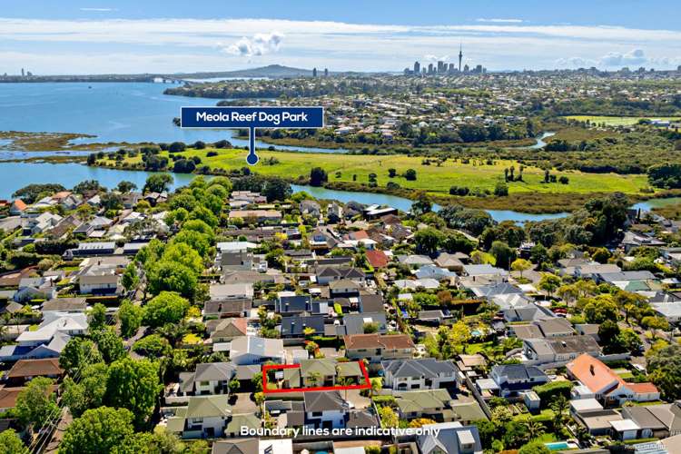 51B Dignan Street Pt Chevalier_24