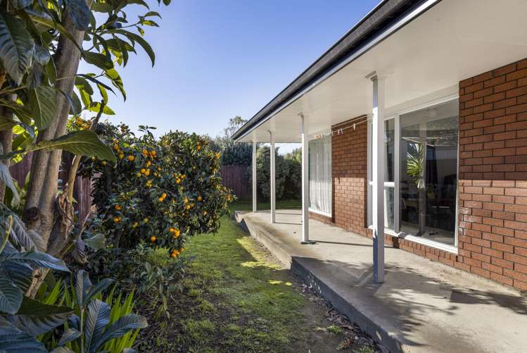 28D Meehan Street Blenheim_19