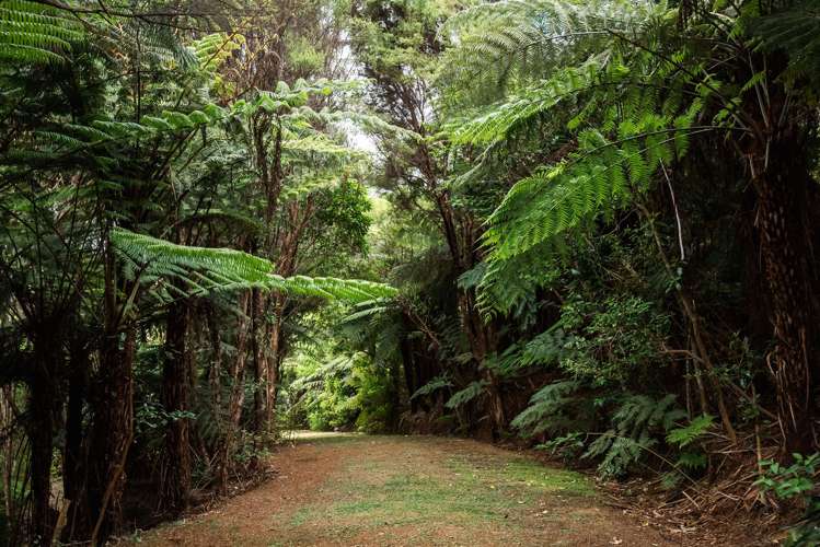 183 Rangitane Road Kerikeri_16