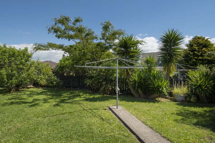 131 Park Road Katikati_13