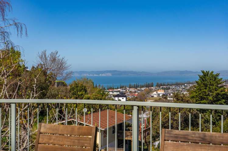 8 Harvey Road_5