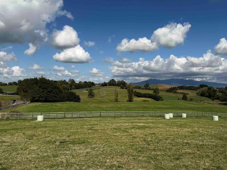 168 Gillard Road Ohaupo_5