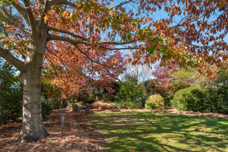 16 Bishell Lane Burleigh_17