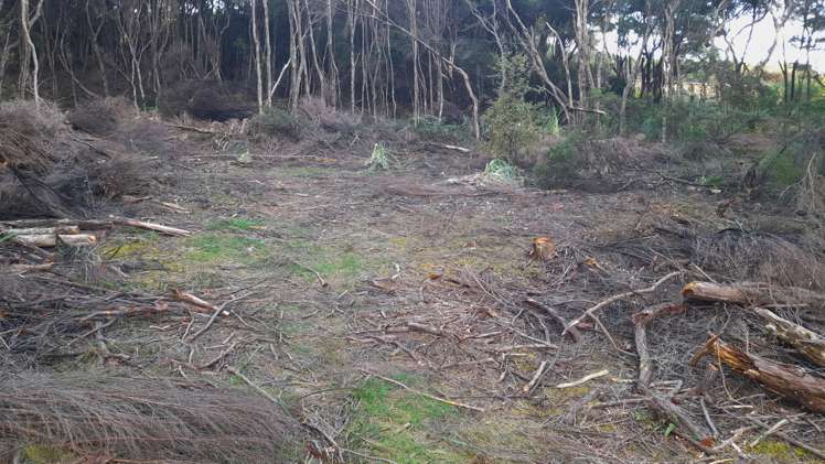 119 Cable Bay Block Road Cable Bay_17