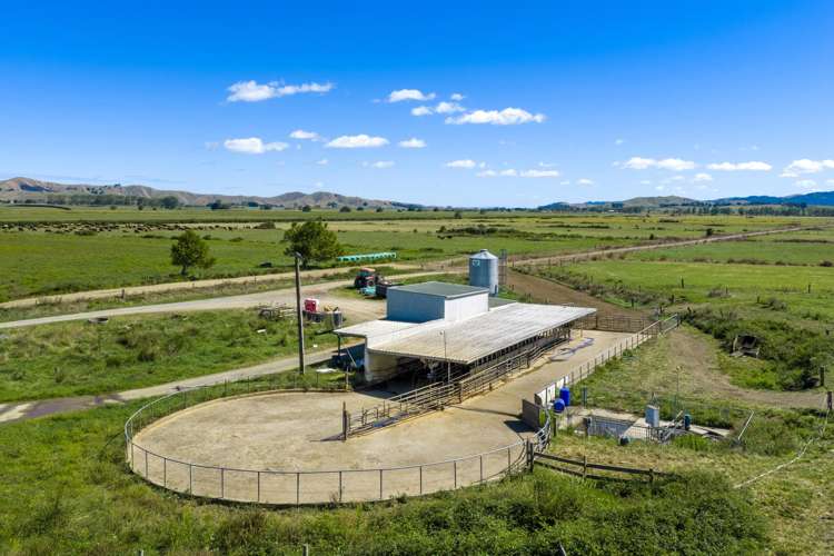 331 Kneebone Road Orini_35