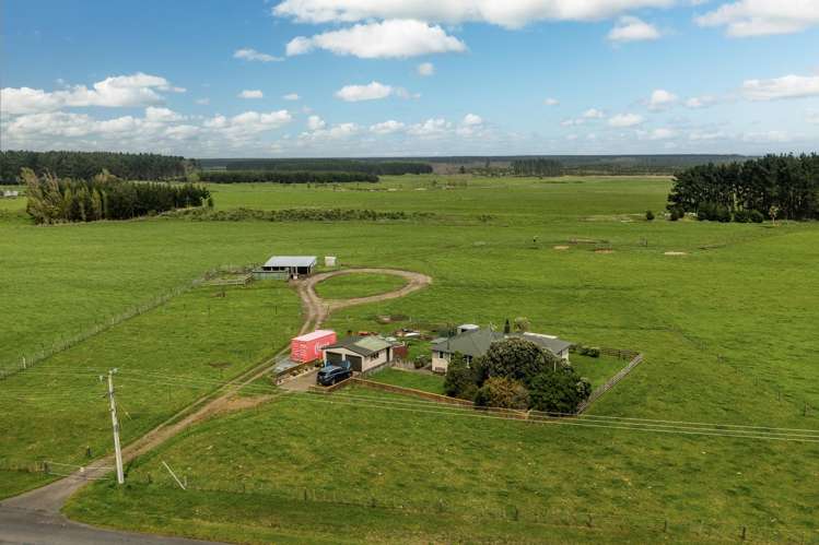 293 Beamish Road Bulls_11