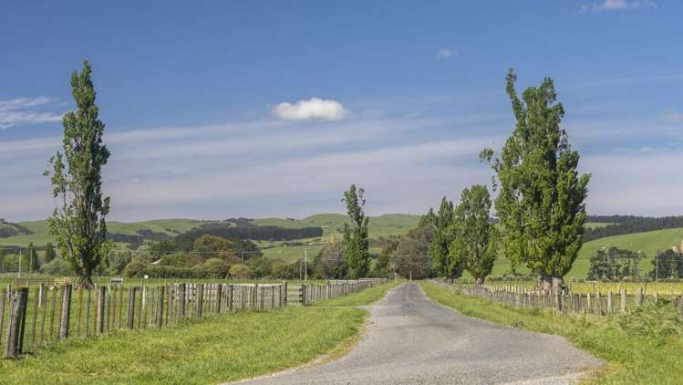 Chishams Road Martinborough_0