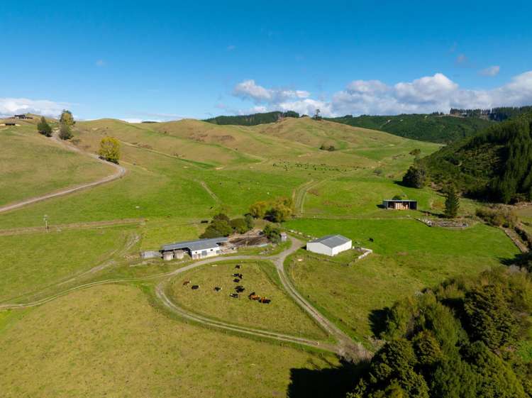 229 Teapot Valley Road Brightwater_7
