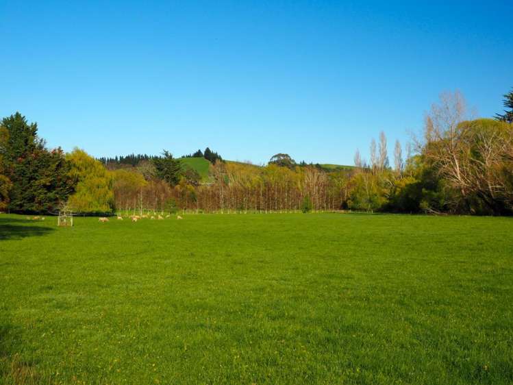 13 Factory Road Cheviot_18