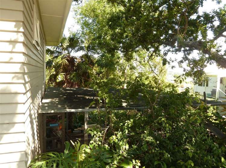 204 Mount Sea Road Thames_17