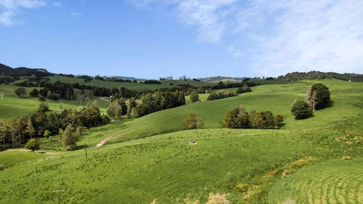 2051 Paparoa-Oakleigh Road Taipuha_10