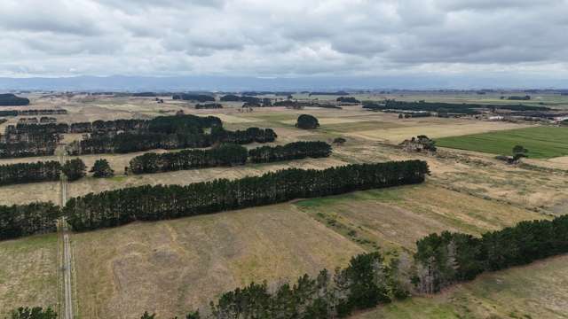 265 Paranui Road Foxton_1