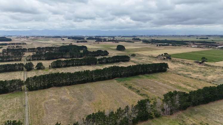 265 Paranui Road Foxton_1