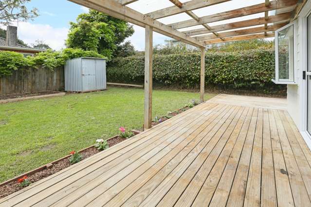 84a Webster Avenue Mount Roskill_2