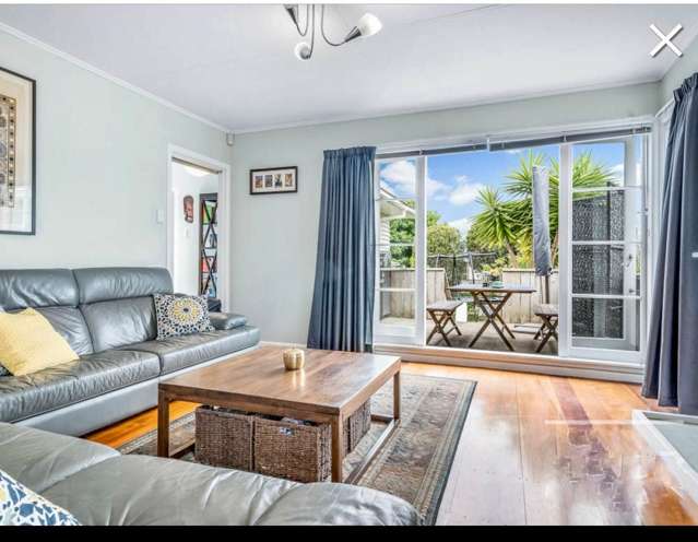 62 Webster Avenue Mount Roskill_2