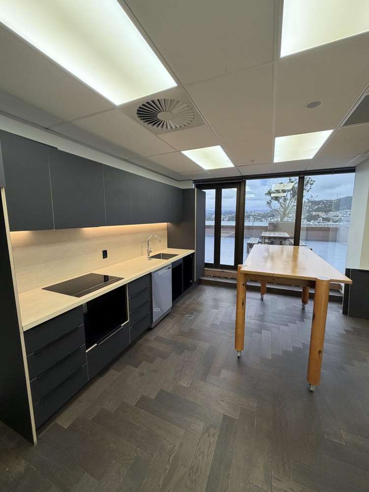 171 Featherston Street Wellington Central_3