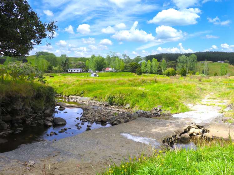 2218 Tangowahine Valley Road Dargaville Surrounds_21