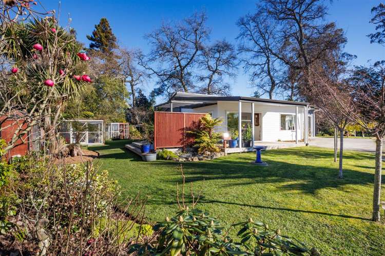 10a Shelton Place Marton_31