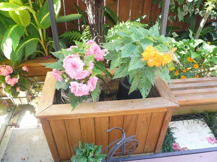 321 Chapel Road Flat Bush_7