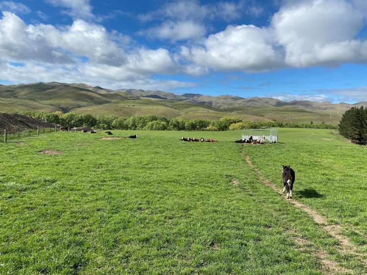 638 Hakataramea Valley Road Hakataramea_9