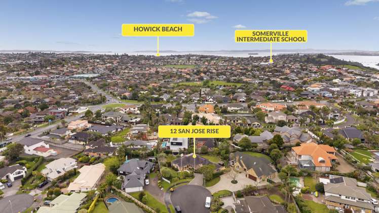 12 San Jose Rise Shamrock Park_42