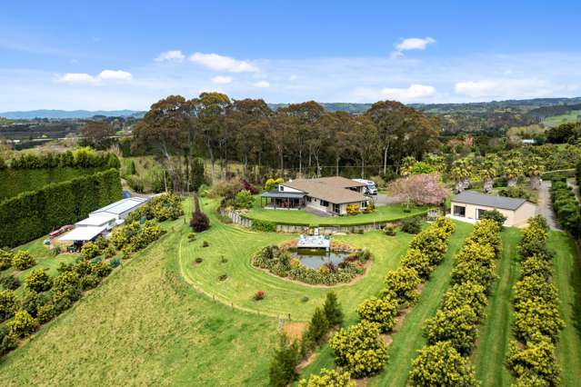 24C Pahoia Road Whakamarama_1