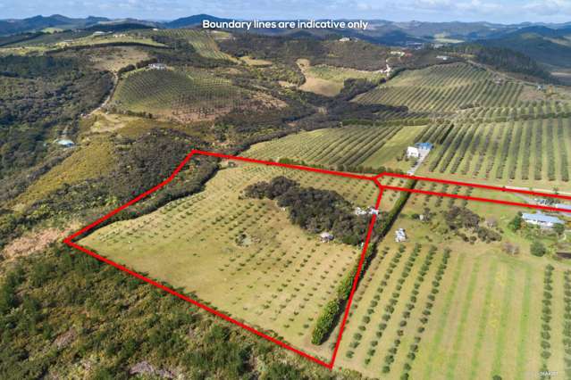 125c Frantoio Ridge Road Mangonui_2