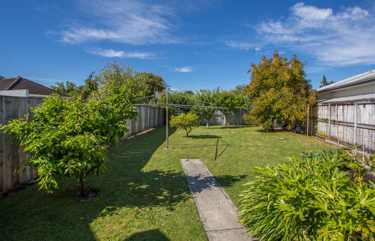 25a Graham Road Inner Kaiti_12